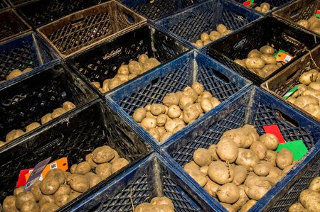 Potato Cold Storage India